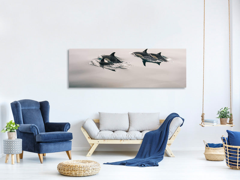 panoramic-canvas-print-the-dolphins