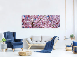 panoramic-canvas-print-the-japanese-cherry