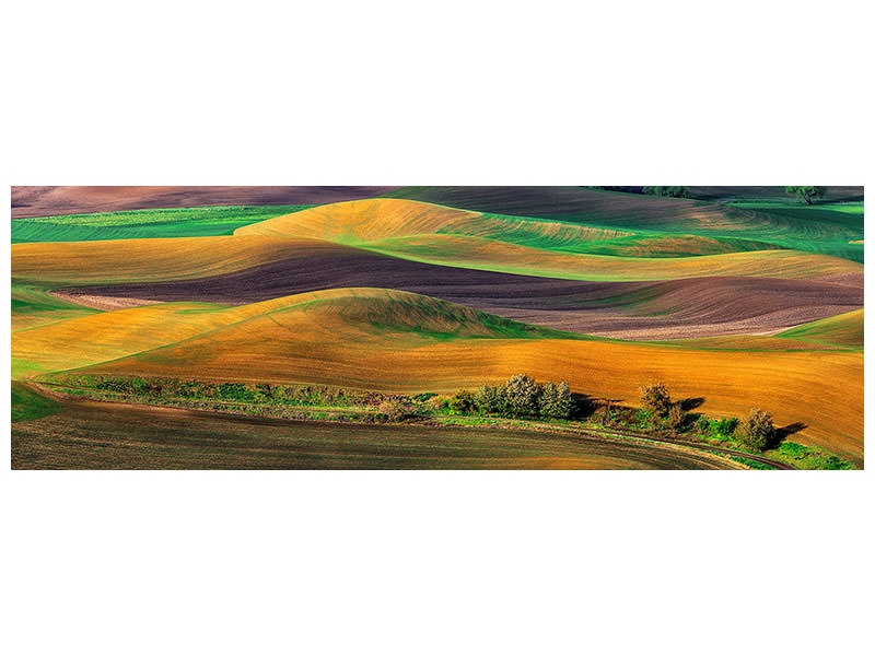 panoramic-canvas-print-the-palouse