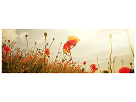 panoramic-canvas-print-the-poppy-field-at-sunrise