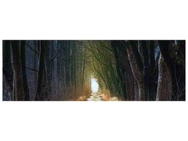 panoramic-canvas-print-the-tree-avenue