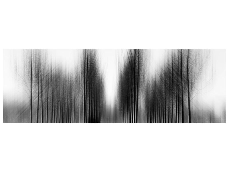 panoramic-canvas-print-tree-architecture