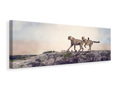 panoramic-canvas-print-two-cheetahs