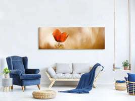 panoramic-canvas-print-untitled-xxxi