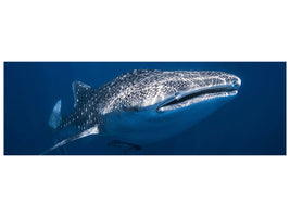 panoramic-canvas-print-whale-shark