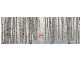 panoramic-canvas-print-white