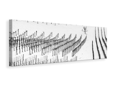 panoramic-canvas-print-winter-lines