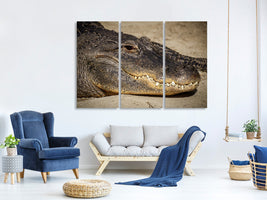 z-3-piece-canvas-print-attention-alligator